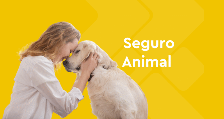 Seguro Animal: porque o seu melhor amigo merece o melhor cuidado